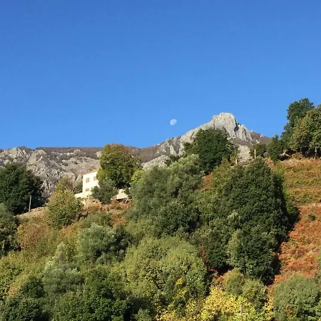 La Diligence Verdese